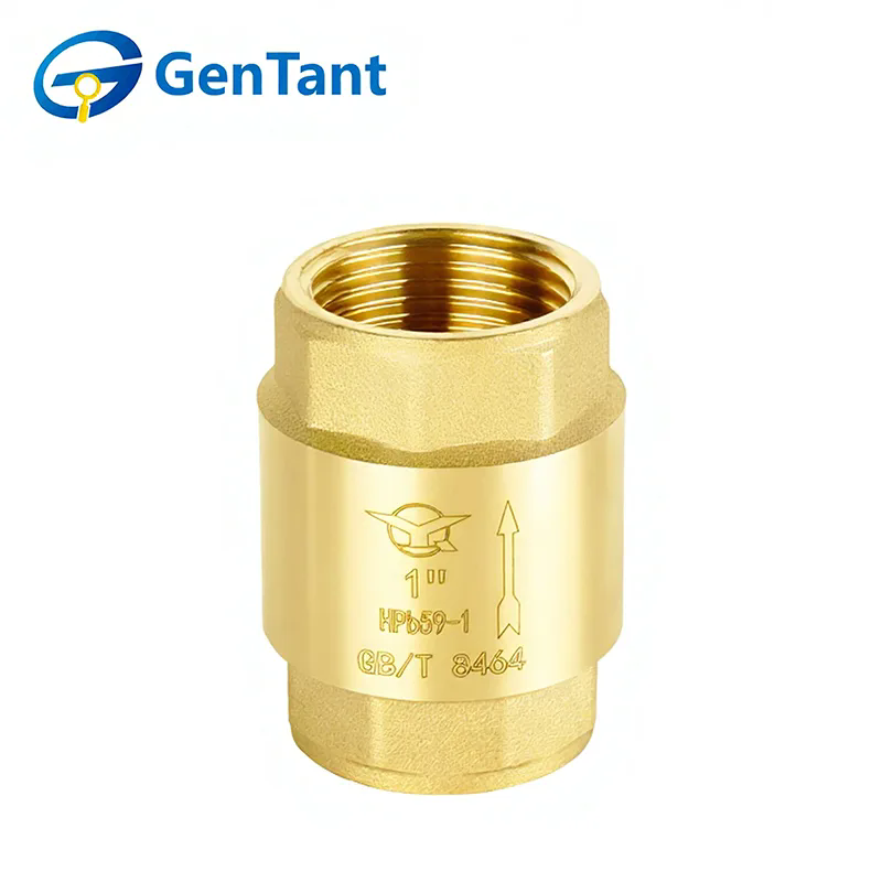 สปริงเช็ควาล์วช่วยปรับปรุงประสิทธิภาพของระบบได้อย่างไร